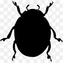 ������������ǳ��Ӱ��ɫm-������