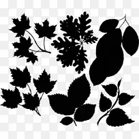 开花植物果实图案字体-空若网 开花植物果实图案字体-空若网