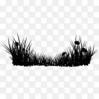 桌面壁纸电脑草树-空若网 桌面壁纸电脑草树-空若网