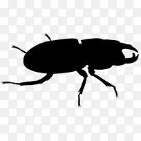 ��ǳ�����������Ӱ�׳�-������