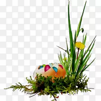 ������Ƹ���ڲʵ���-������