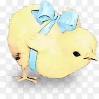 嘴夹艺术鼻子宠物-空若网 嘴夹艺术鼻子宠物-空若网