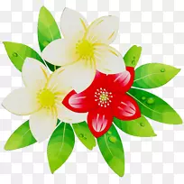 ���껨�л�ֲ��-������