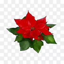 切花植物花卉设计树-空若网 切花植物花卉设计树-空若网