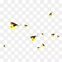 剪贴画png图片萤火虫图像昆虫飞行萤火虫-空若网 剪贴画png图片萤火虫图像昆虫飞行萤火虫-空若网