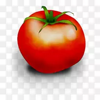 李子番茄减肥食品灌木丛番茄-空若网 李子番茄减肥食品灌木丛番茄-空若网