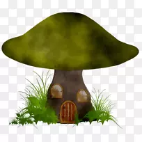 蘑菇-空若网 蘑菇-空若网