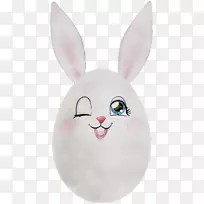 家兔复活节兔须鼻子-空若网 家兔复活节兔须鼻子-空若网