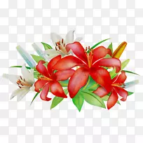 花卉设计切花花束-空若网 花卉设计切花花束-空若网