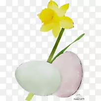 开花植物茎植物-空若网 开花植物茎植物-空若网