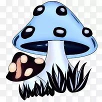 ���ܶ����������ͨ����-������