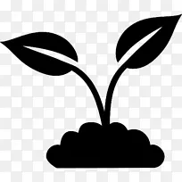 剪贴画黑色剪影植物茎开花植物-空若网 剪贴画黑色剪影植物茎开花植物-空若网