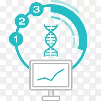 ���ݷ������������������.����png͸��-������