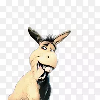 驴包动物卡通鼻子-空若网 驴包动物卡通鼻子-空若网