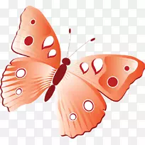 帝王蝴蝶图像昆虫png图片.蝴蝶-空若网 帝王蝴蝶图像昆虫png图片.蝴蝶-空若网