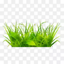 剪贴画开放部分图形免费内容图像-空若网 剪贴画开放部分图形免费内容图像-空若网