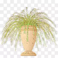 草树-空若网 草树-空若网