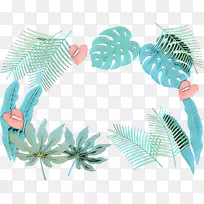 叶植物,植物茎,蕨类植物,开花植物-空若网 叶植物,植物茎,蕨类植物,开花植物-空若网