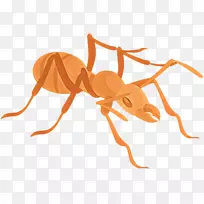 蚂蚁剪贴画png图片图像图形-空若网 蚂蚁剪贴画png图片图像图形-空若网