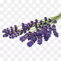 薰衣草洗剂香醋精油薰衣草-空若网 薰衣草洗剂香醋精油薰衣草-空若网