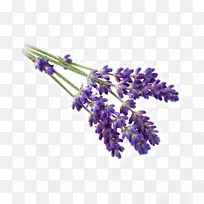 Ӣ��޹�²ݷ���޹�²��Ե�����������޹�²�-������