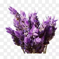 Ó¢¹úÞ¹Ò²ݷ¨¹úÞ¹Ò²ݹãÞ½Ï㾫ÓÍÁ¢·½Ìå-Þ¹Ò²Ý-¿ÕÈôÍø Ó¢¹úÞ¹Ò²ݷ¨¹úÞ¹Ò²ݹãÞ½Ï㾫ÓÍÁ¢·½Ìå-Þ¹Ò²Ý-¿ÕÈôÍø