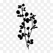 植物茎开花植物叶植物-空若网 植物茎开花植物叶植物-空若网