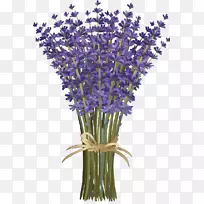 薰衣草花束-薰衣草-空若网 薰衣草花束-薰衣草-空若网