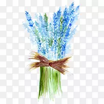 画薰衣草插图水彩画形象-薰衣草画PNG花束-空若网 画薰衣草插图水彩画形象-薰衣草画PNG花束-空若网