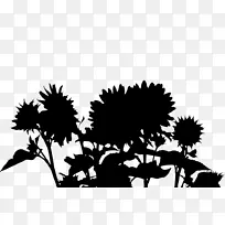 植物茎桌面壁纸开花植物字体-空若网 植物茎桌面壁纸开花植物字体-空若网