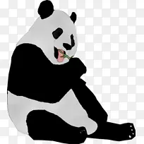 大熊猫金刚餐厅海斯维尔熊-空若网 大熊猫金刚餐厅海斯维尔熊-空若网