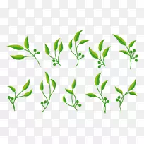 ������-����-������