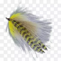 M/0d���������˹�Ӭ��-���κ���-������