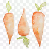 剪贴画胡萝卜水彩画png图片图片胡萝卜-空若网 剪贴画胡萝卜水彩画png图片图片胡萝卜-空若网