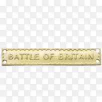 ��ɫ��ը��˿��-������