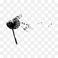 ֲ�ﾥ�����ֽ����ֲ������-������