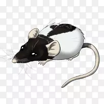 ������������Ʒ��Ʊ��Ӷ���.������-������