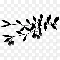 植物茎夹艺术开花植物果实叶-空若网 植物茎夹艺术开花植物果实叶-空若网