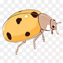 象鼻虫剪贴画昆虫产品设计鼻子-空若网 象鼻虫剪贴画昆虫产品设计鼻子-空若网