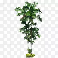 �Ĵ�������β�ݾ��۽���ֲ��-�����-������