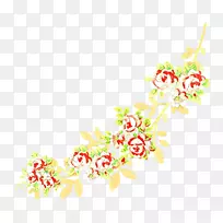 ��������л�����ֲ��-������