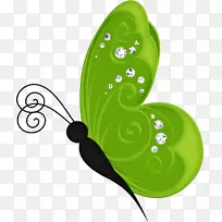 蝴蝶昆虫剪贴画桌面壁纸gif-蝴蝶-空若网 蝴蝶昆虫剪贴画桌面壁纸gif-蝴蝶-空若网