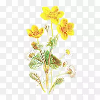 �л�ֲ�ﾥ�ݱ�ֲ�￪��ֲ��-������