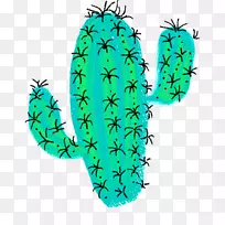 剪贴画仙人掌绘制png图片水彩画.仙人掌-空若网 剪贴画仙人掌绘制png图片水彩画.仙人掌-空若网