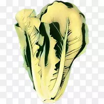 植物-空若网 植物-空若网