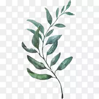 Ë®²Ê»²åͼˮ²Ê»-¿ÕÈôÍø Ë®²Ê»²åͼˮ²Ê»-¿ÕÈôÍø