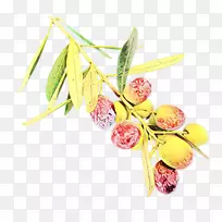 花卉设计,切花,开花植物,水果-空若网 花卉设计,切花,开花植物,水果-空若网