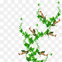 剪贴画植物茎叶开花植物-空若网 剪贴画植物茎叶开花植物-空若网