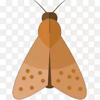 蛾M蝴蝶夹艺术对称产品设计-空若网 蛾M蝴蝶夹艺术对称产品设计-空若网