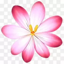 ����ǽֽ�ۺ�m����-������